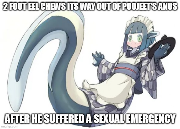 Eel news