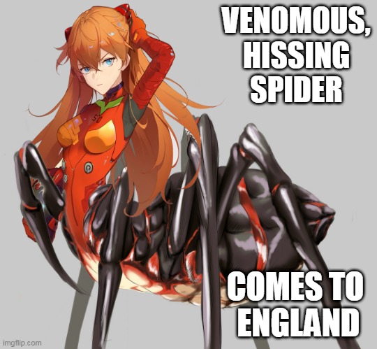 Spider Asuka